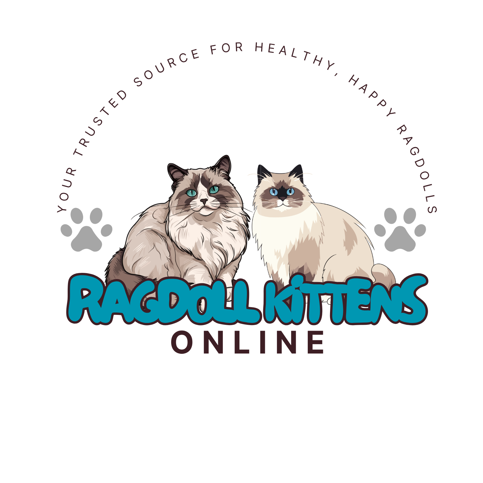 Ragdoll Kittens Online